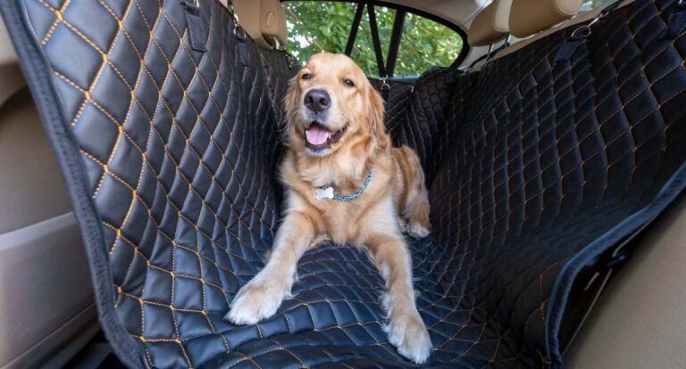 5 Best Dog Seats For Large Dogs
