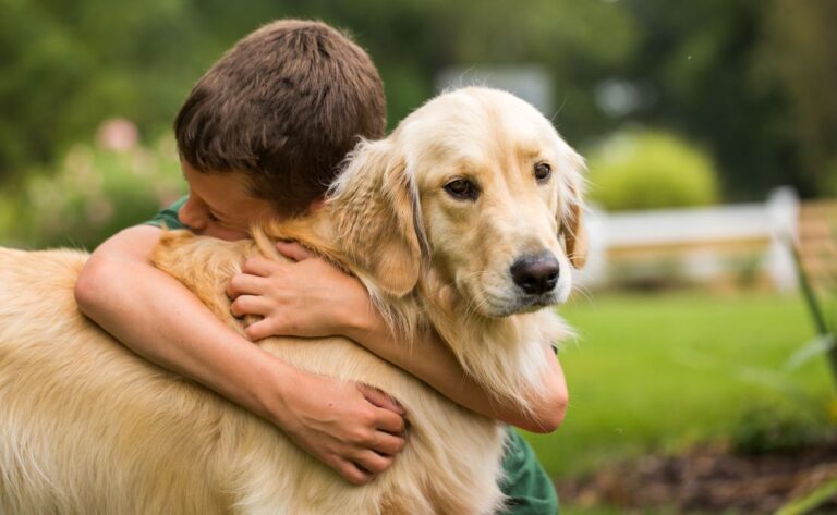 10 Golden Retriever Training Tips