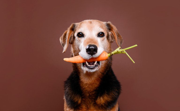 Vegetables Dogs Shouldn’t Eat (Avoid These!)