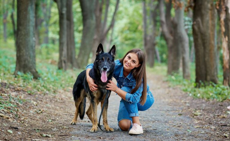 How To Become An Amazing German Shepherd Owner