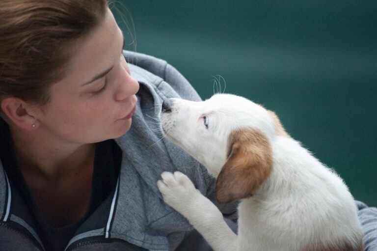 8 Common Mistakes Dog Owners Make (And How to Avoid Them)