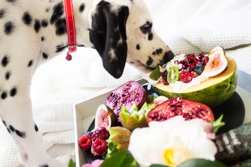 Can Dogs Eat Human Food?