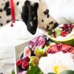 Can Dogs Eat Human Food?