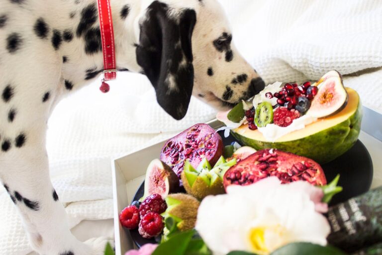 Can Dogs Eat Human Food?