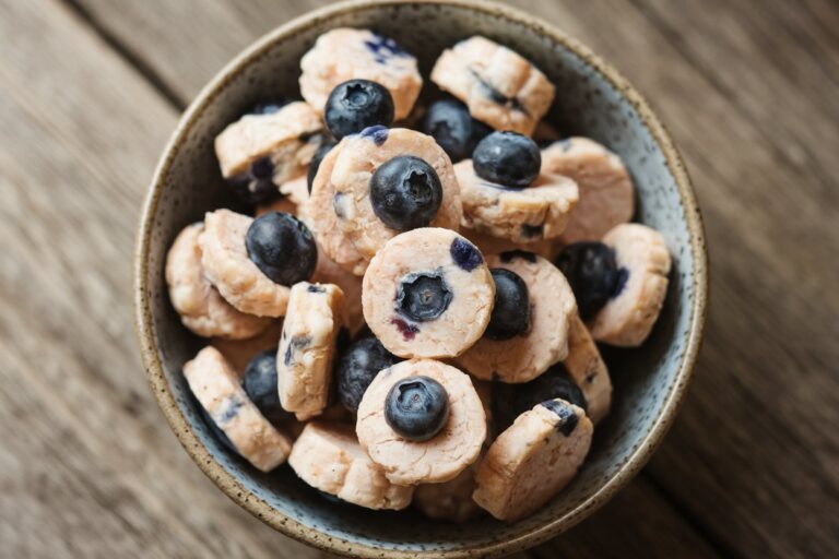 Turkey and Blueberry Treat: A Sweet and Savory Snack for Your Dog