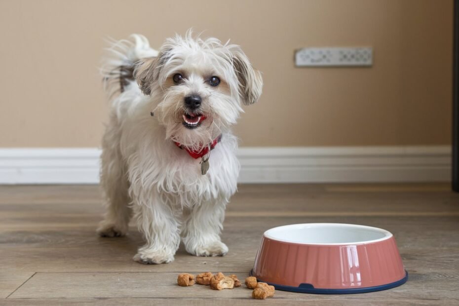 5 Allergy-Friendly Dog Treat Recipes to Spoil Your Pup - Smart Dog Learning - Natural Allergy Friendly Dog Treats