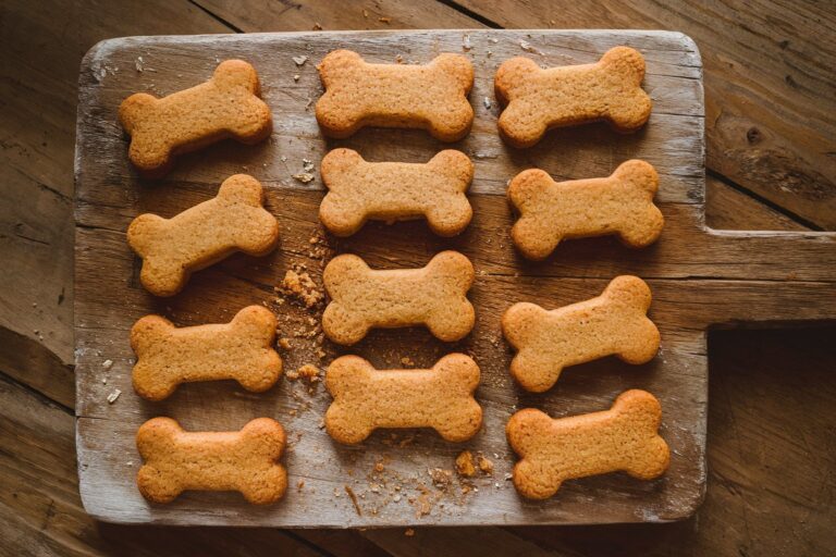 Pumpkin and Oat Dog Cookies: Easy Recipe