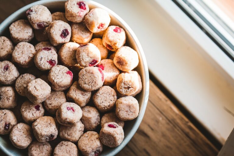 Turkey and Cranberry Bites: A Festive, Healthy Treat for Your Dog