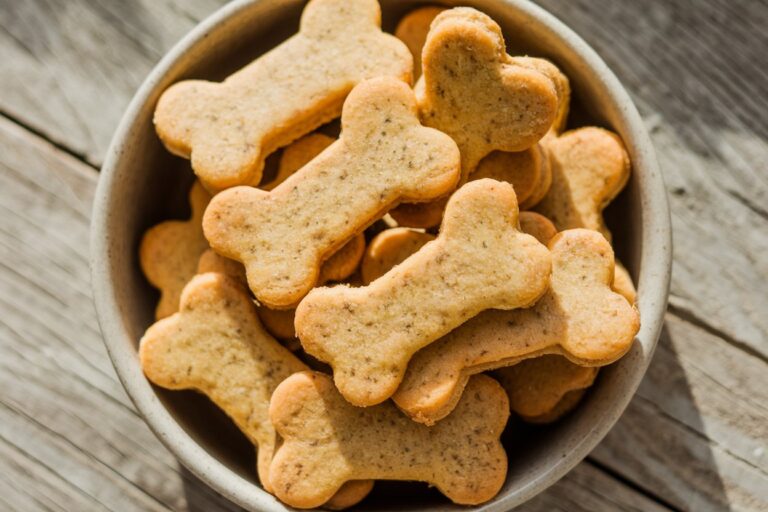 Pumpkin & Flaxseed Biscuits: The Ultimate Allergy-Friendly Treat for Your Pup!
