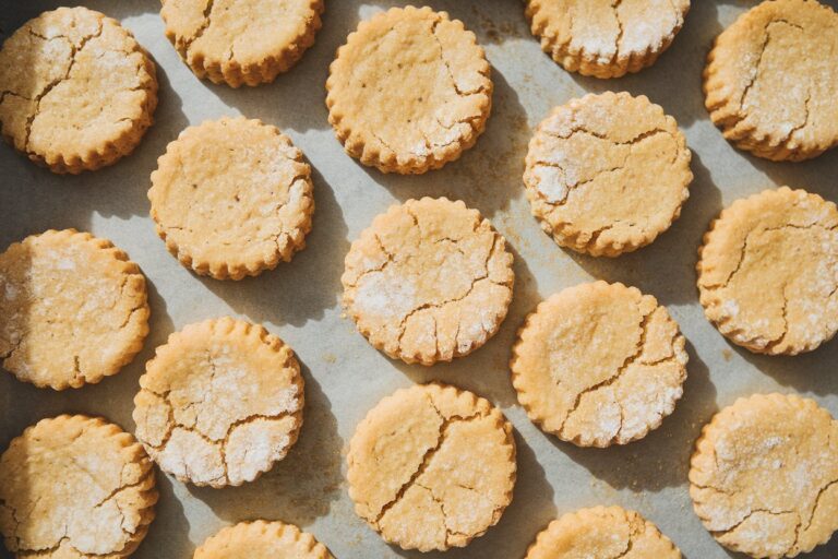 Vegan Chickpea Flour Biscuits â The Protein-Packed Treat for Your Dog
