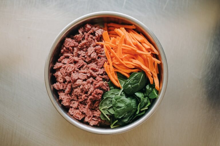 Beef and Carrot Bowl – A Classic, Nutritious Meal for Your Dog