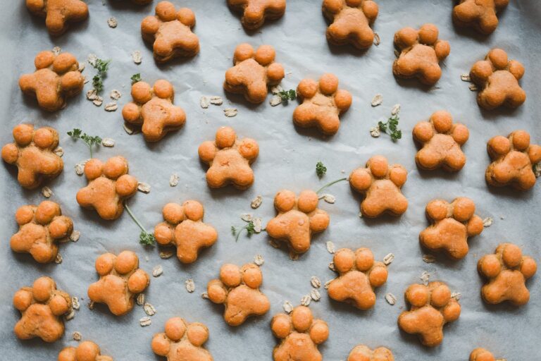Pumpkin & Carrot Cookies: A Flavorful, Fiber-Packed Treat for Your Dog
