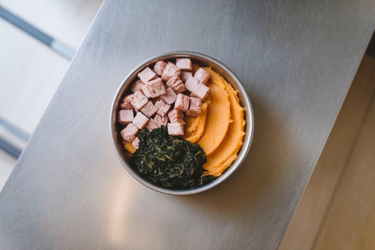 Duck and Sweet Potato Feast – Treat Your Pup Like Royalty!