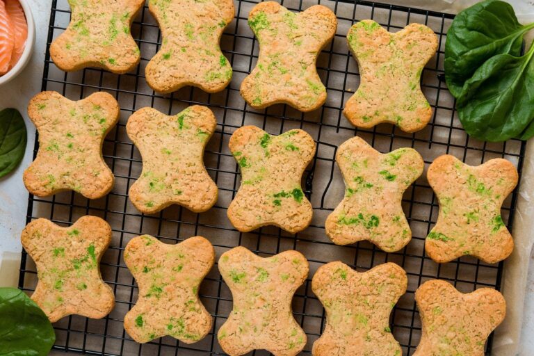 Salmon & Spinach Biscuits: A Nutrient-Packed, Omega-Rich Treat for Your Pup