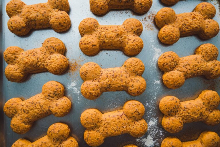 Vegan Pumpkin & Flaxseed Biscuits – The Perfect Crunchy Snack for Your Dog!