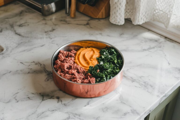 Beef and Pumpkin Feast – A Flavorful and Nutritious Meal for Your Dog