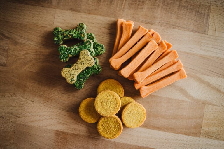 5 Homemade Dog Dental Treats to Keep Those Teeth Sparkling