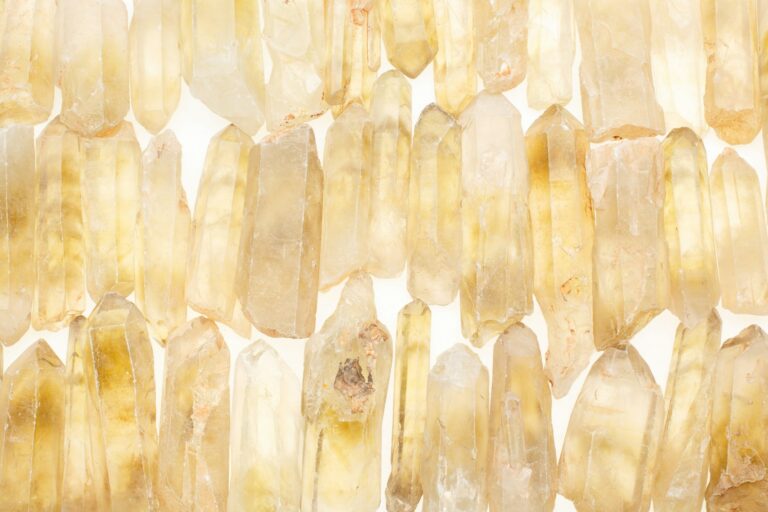 6 Healing Crystals for Dogs: Boost Your Pup’s Energy and Wellness