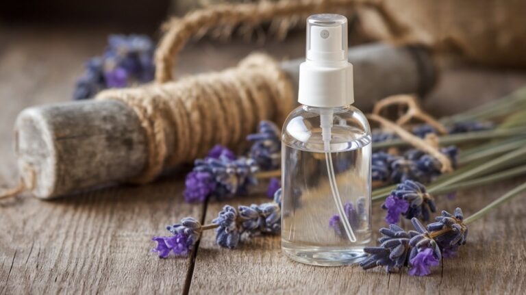 DIY Tick Repellent Spray: Keep Your Pup Safe and Tick-Free Naturally