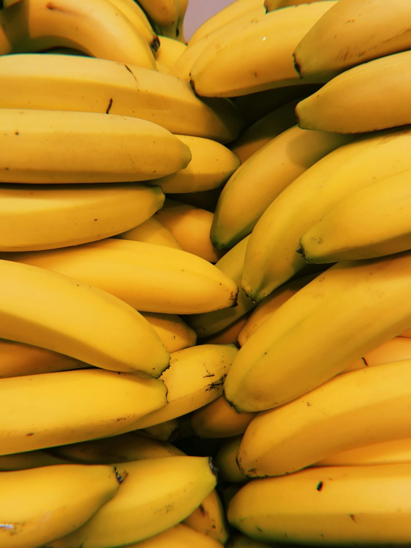 Dogs Eating Bananas In The Morning Routine Reference: Here S Why Your Dog Should Eat Bananas