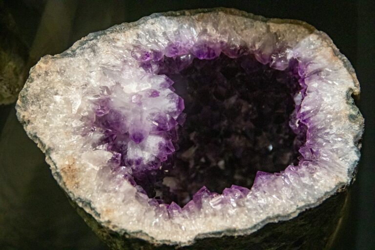 5 Reasons Why Your Dog Needs Amethyst