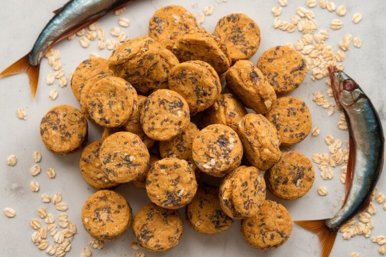 4-Ingredient Sardine and Oatmeal Treats: A Fishy Delight for Your Pup