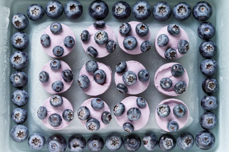 3-Ingredient Blueberry Yogurt Bites: A Refreshing Treat for Your Pup