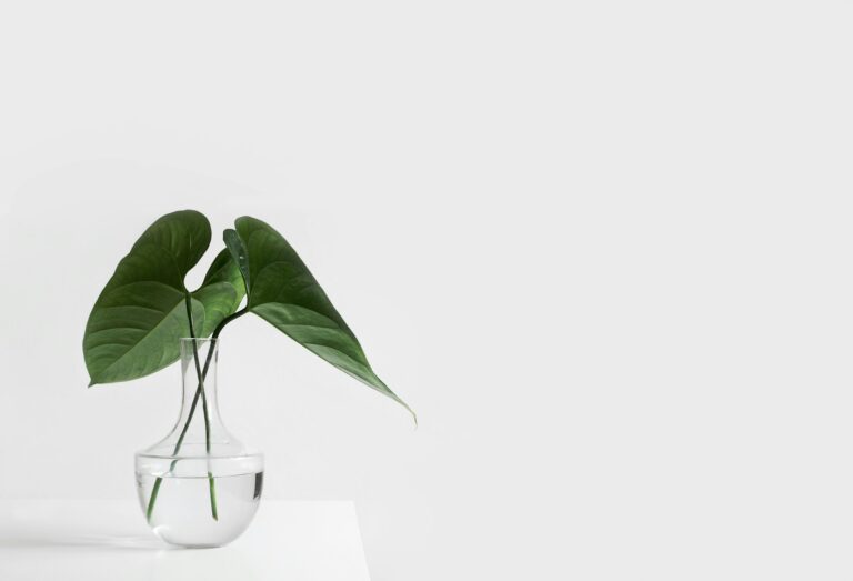 10 Air-Purifying Plants That Are Safe for Pets (And Your Home’s Vibe)