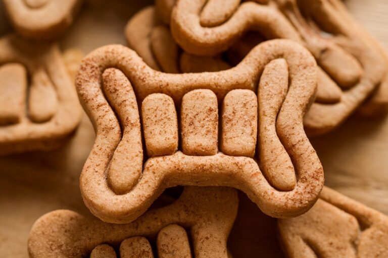 Sweet and Simple: Applelicious Dog Treats Made with Applesauce