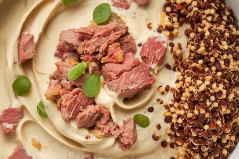 Gut-Boosting Goodies: Homemade Dog Food with Natural Probiotics