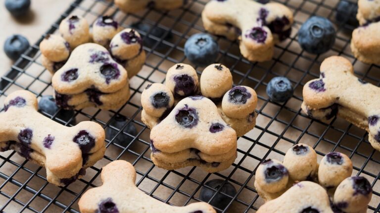 Easy Allergy-Friendly Dog Treat with Blueberries