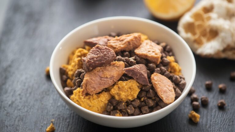 7 Beef Dog Food Ideas You Can Make Under 30 Minutes