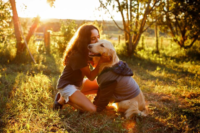 8 Reasons Why Golden Retrievers Are the Best