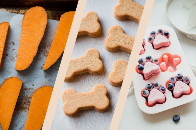 Homemade Long-Lasting Dog Treats You Can Keep for Weeks