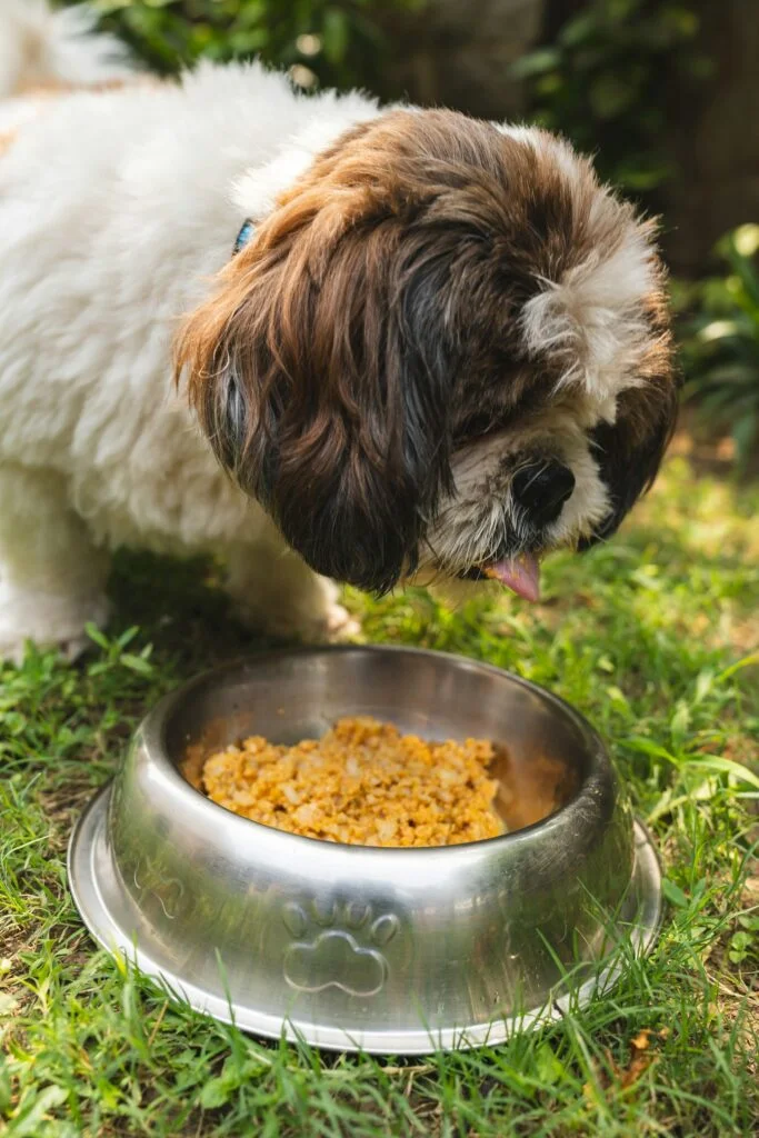 Simple DIY Chicken & Vitamin B Dog Meal