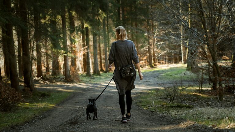 How to Become a Dog Sitter (and Actually Get Paid to Hang with Dogs)