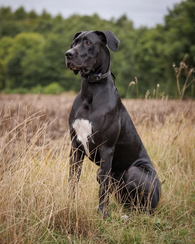 Underestimating How Much Space They Actually Need