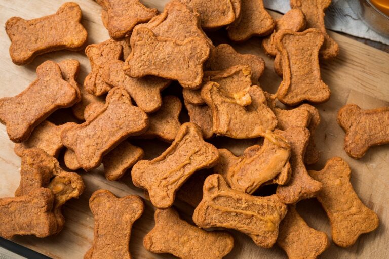 Peanut Butter & Pumpkin Birthday Dog Treats