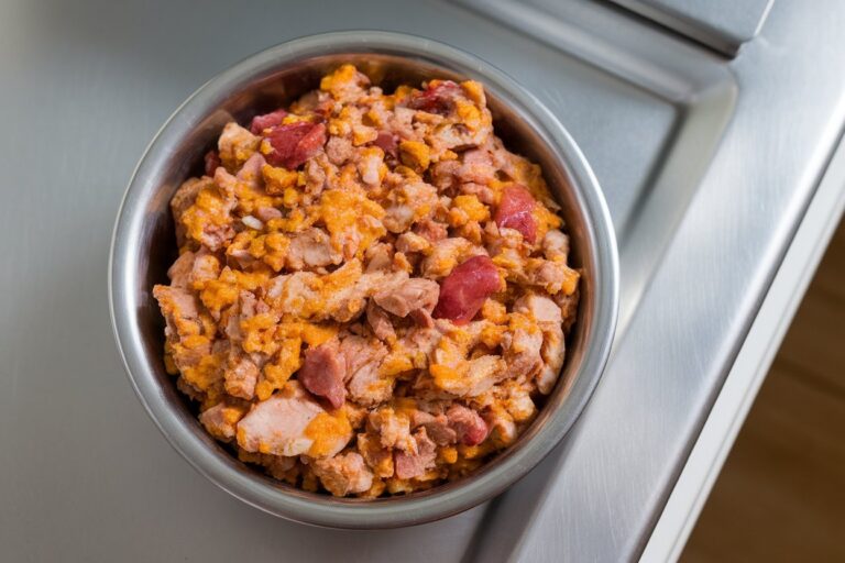 DIY Cat Food With Taurine: The Purrfect Power-Up Your Feline Actually Craves