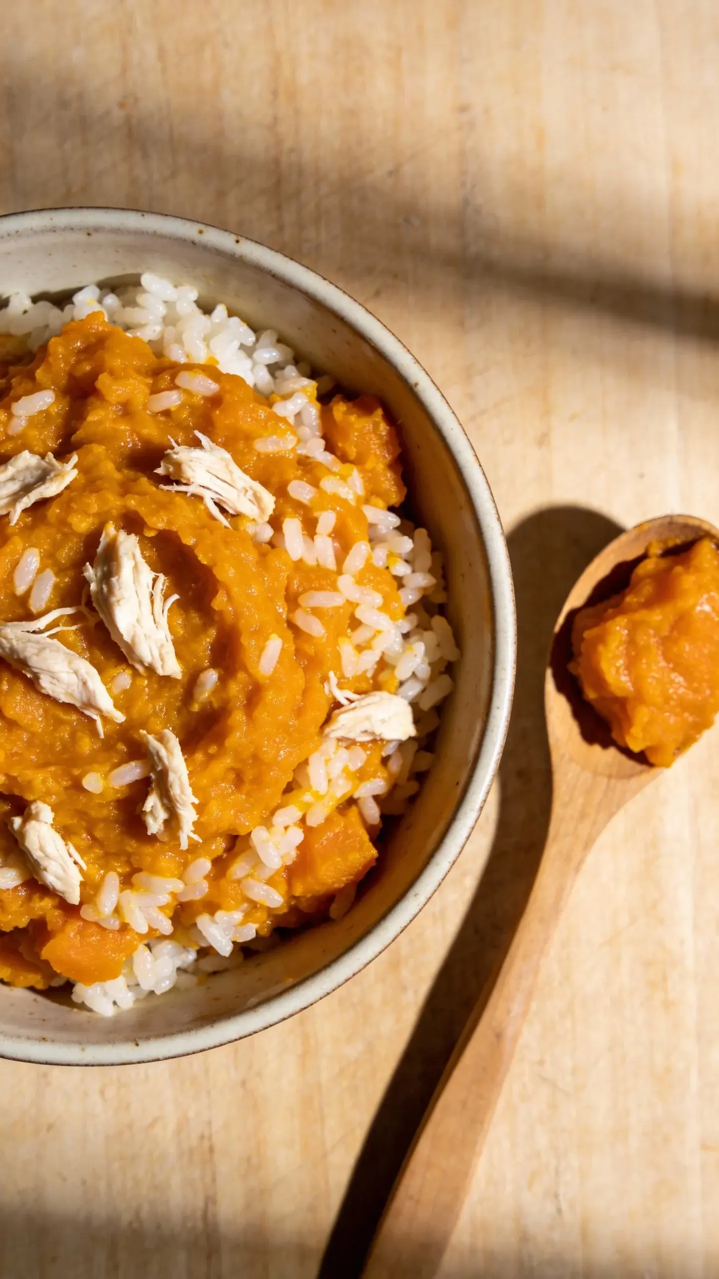 Close-up overhead shot of a shallow ceramic bowl filled with moist, allergy-friendly dog food made from mashed pumpkin and plain white rice, gently mixed with small shreds of boiled chicken; natural warm daylight, soft shadows, minimal rustic kitchen background (light wood), a wooden spoon with a bit of orange pumpkin puree beside the bowl, no text, simple composition, high detail, appetizing texture focus.
