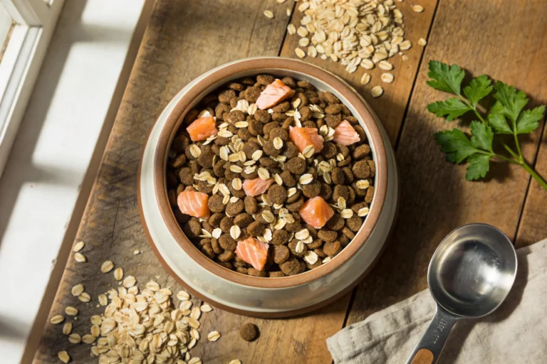 Why Allergy-Friendly Dog Food With Oatmeal Works For Some Dogs