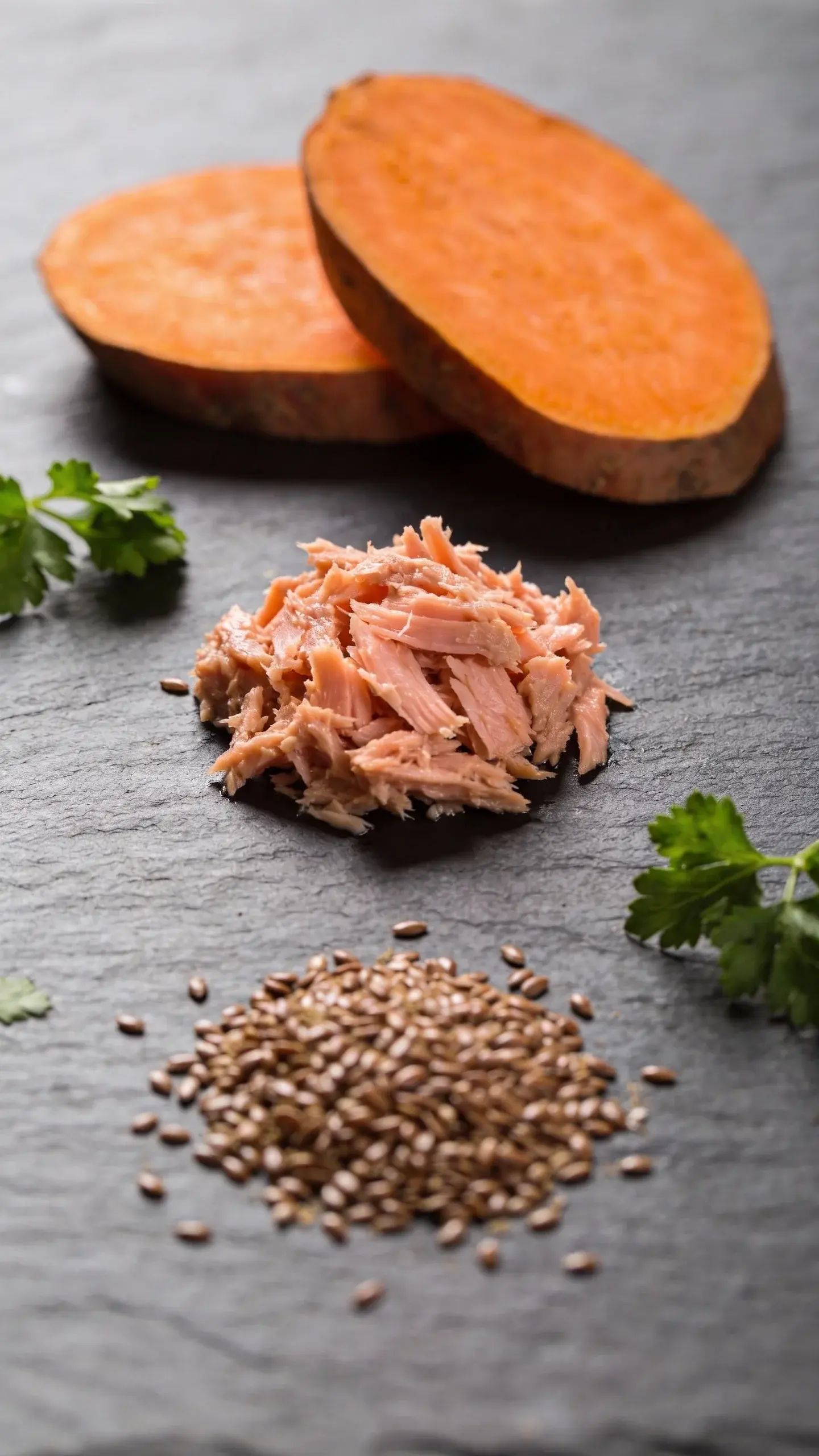 Macro close-up of fresh ingredients arranged neatly on a matte slate surface: thick slices of roasted sweet potato (rich orange), a small mound of cooked salmon flakes, a sprinkle of ground flaxseed, and a few parsley leaves. Soft diffused light with shallow depth of field highlighting texture and moisture. Clean, minimal scene with plenty of negative space. No text.