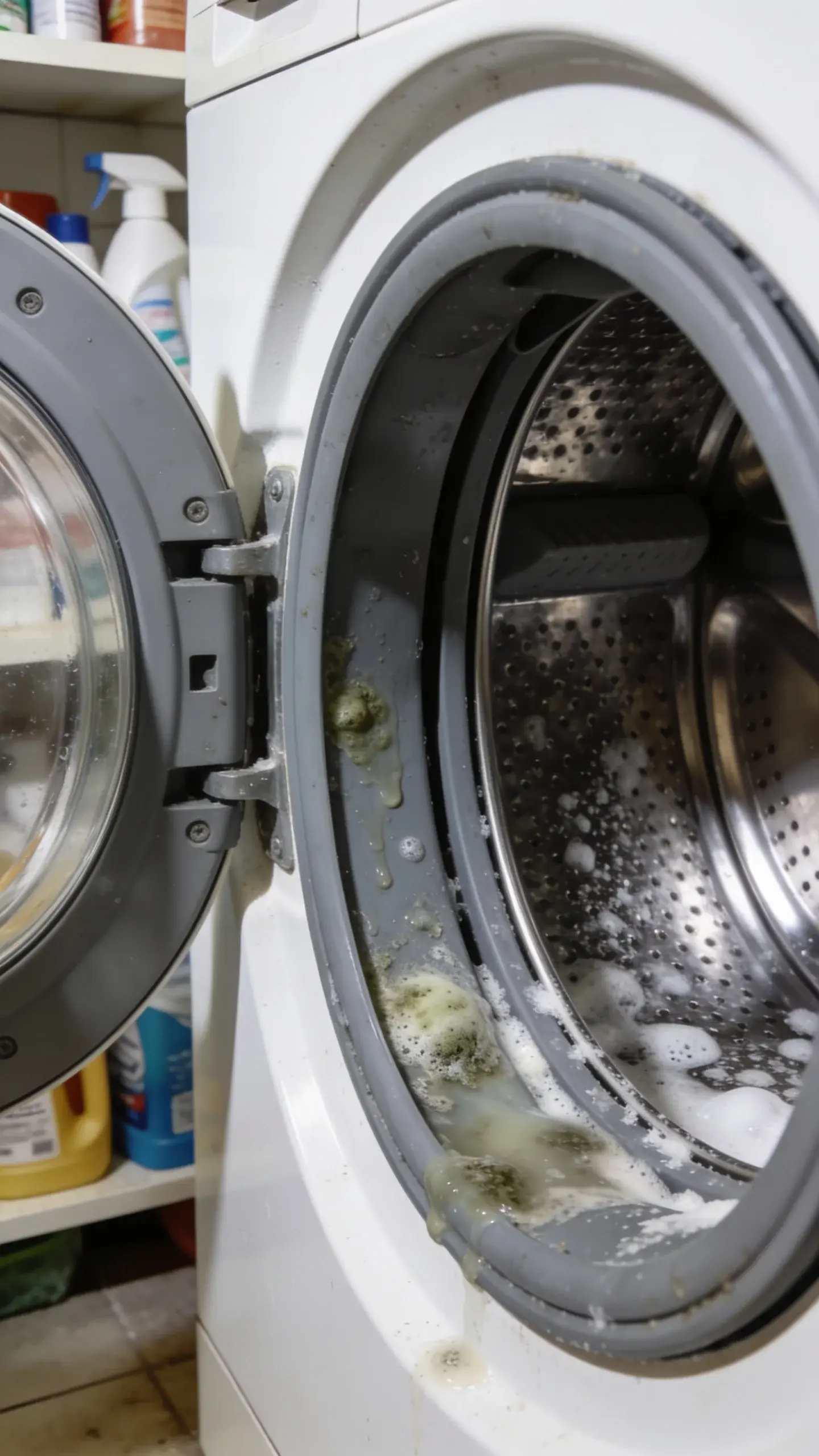 Close-up of a front-loading washing machine door open with visible slimy mildew on the gray rubber gasket, soap scum residue inside the drum, and a bright kitchen light revealing the grime in a real-life laundry room setting, no text.