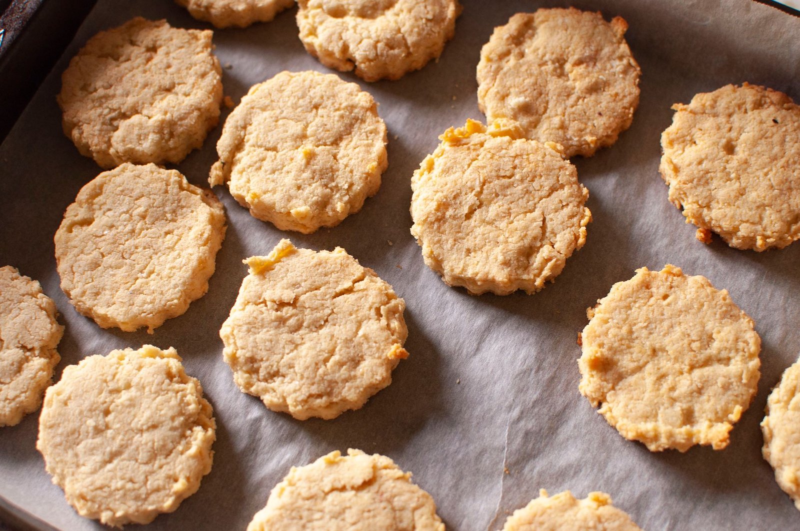 Golden homemade dog biscuits fresh from the oven