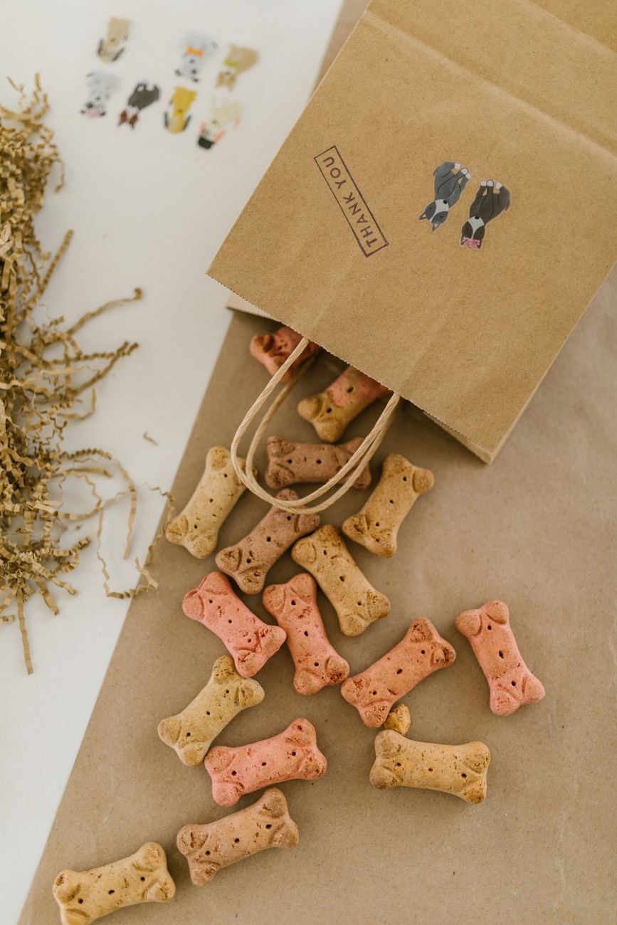 Bone-shaped homemade dog treats spilling from a paper bag