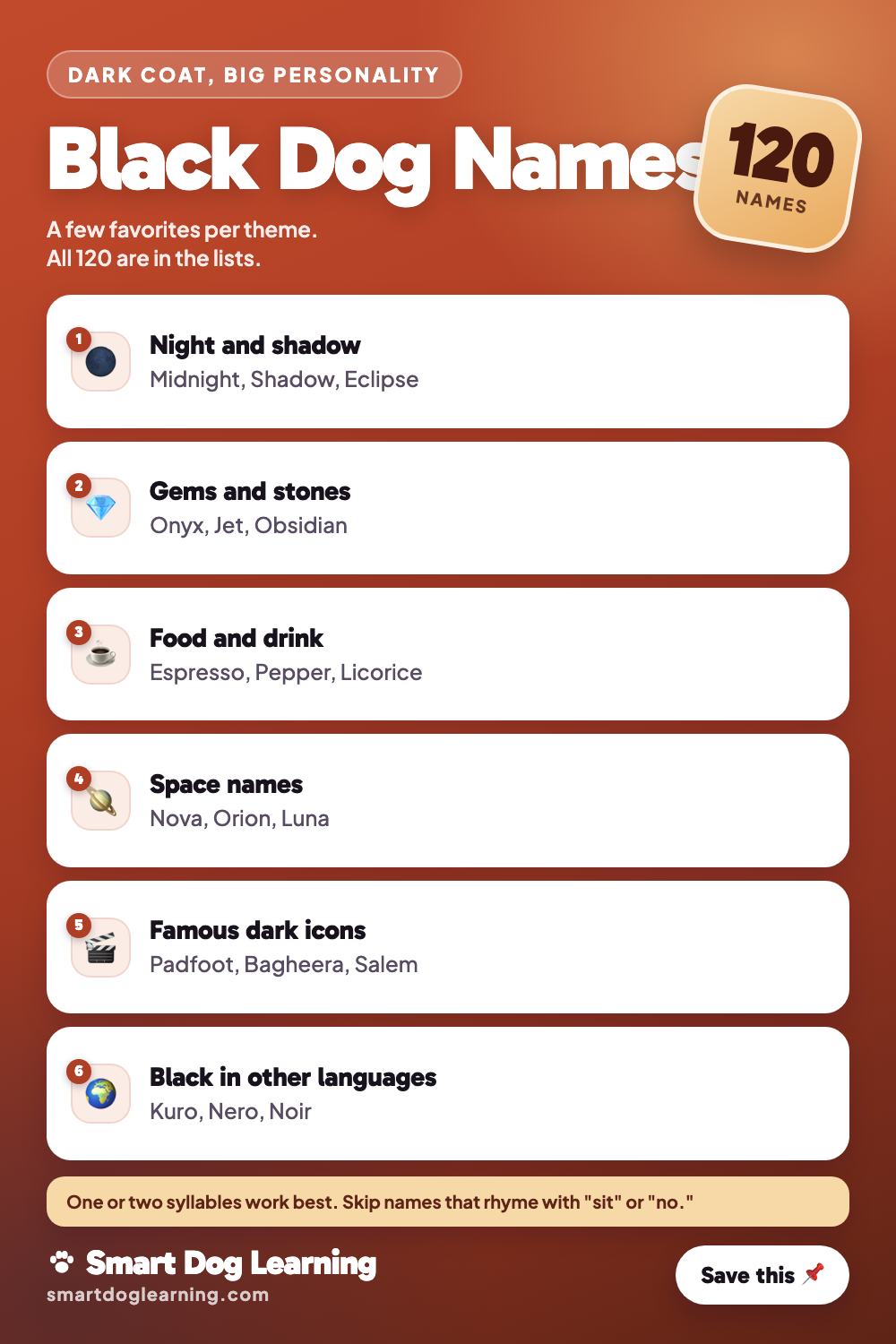 Black Dog Names: 120 Ideas for Boys and Girls