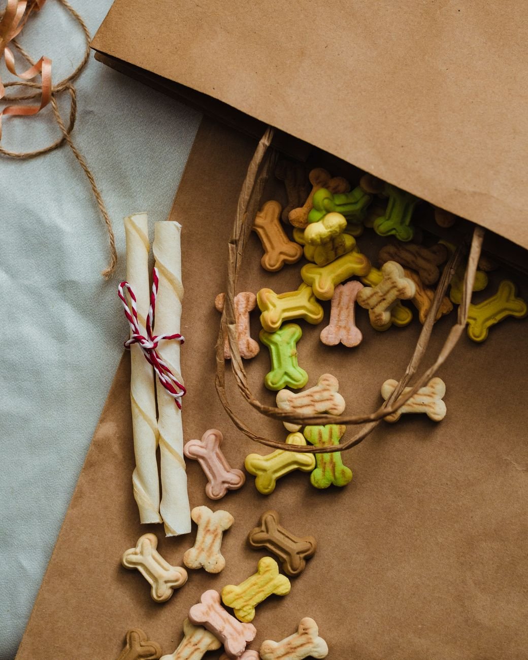Homemade bone-shaped dog biscuits on a tray