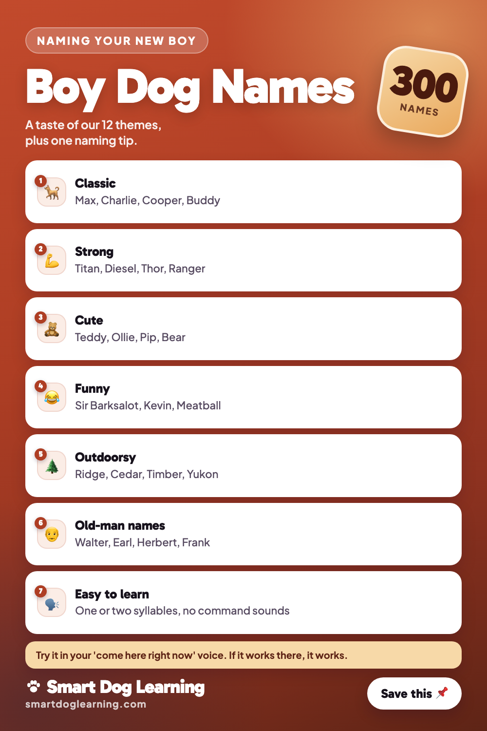 Boy Dog Names: 300 Strong, Cute and Funny Ideas