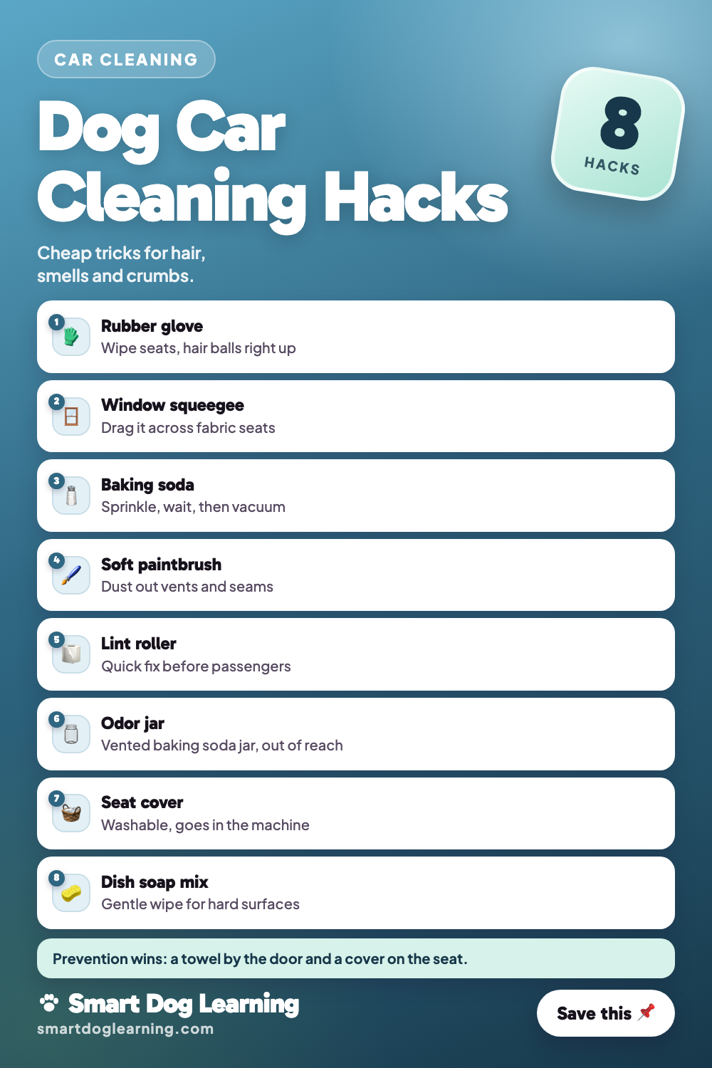 Car Cleaning Hacks for Dog Hair, Smells and Crumbs