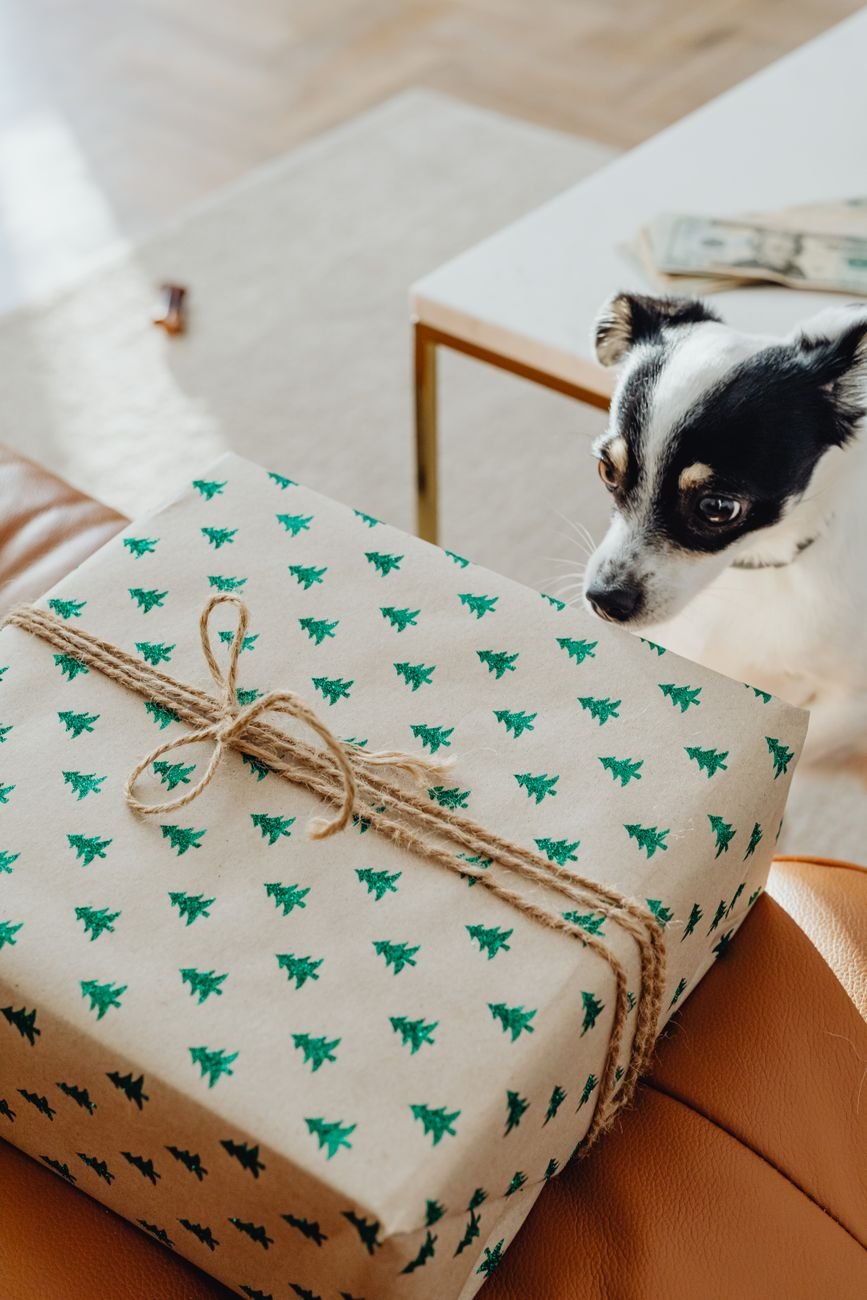 A happy dog by a Christmas tree with presents